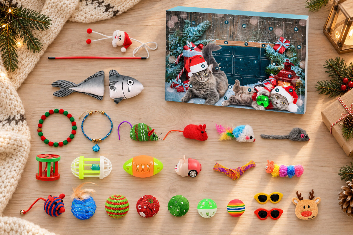 Inhalt des Adventskalenders für Katzen von oben: Katzenangel, Halsbänder, Spielmäuse, Bälle, Noppenraupe und Plüsch-Rentier