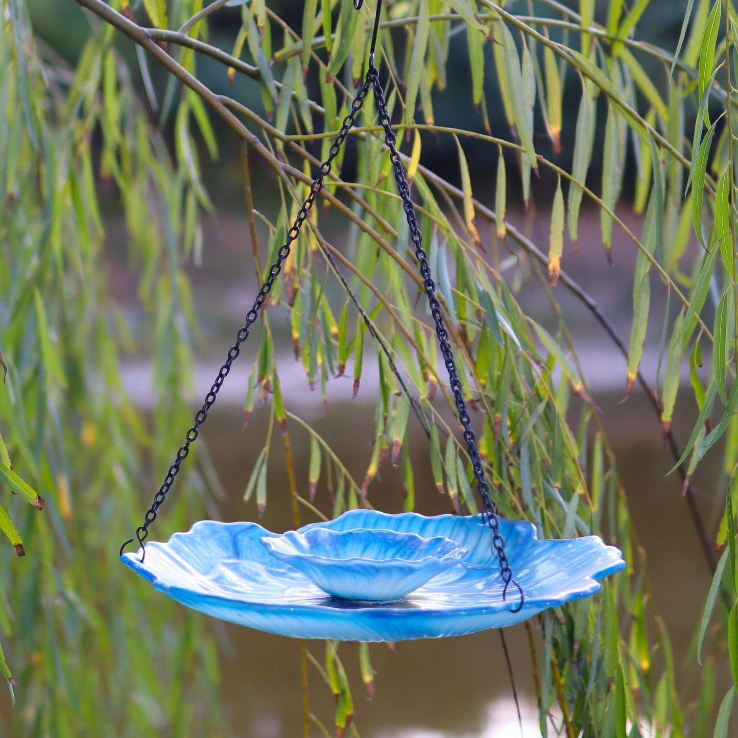 Glasschale Vogelfutterstation in Hellblau hängt an Trauerweidenzweigen über einem Teich
