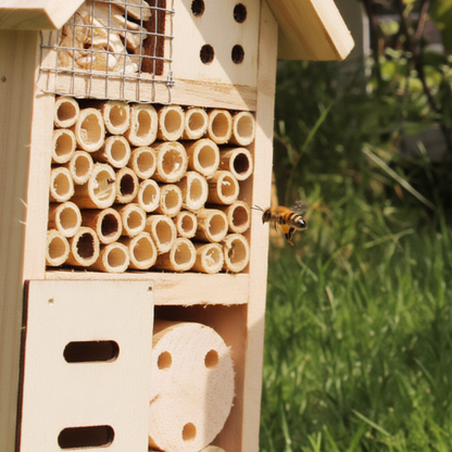 Insektenhotel Massivholz mit Massangabe 20×10×6 cm auf weissem Hintergrund — Grössenübersicht